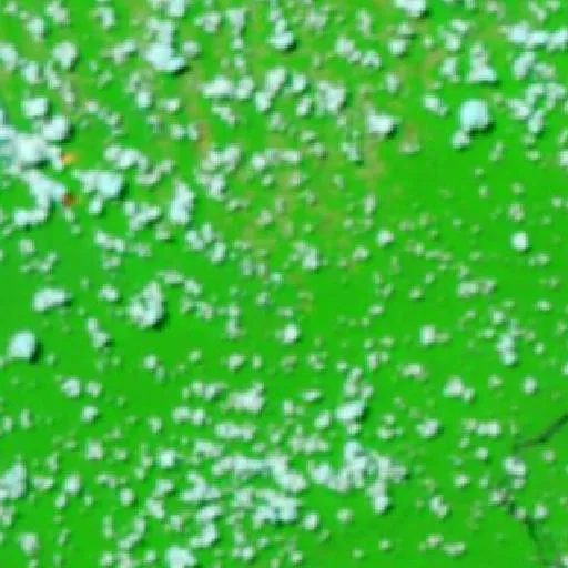 Incendio cerca de Rurópolis — NASA satellite