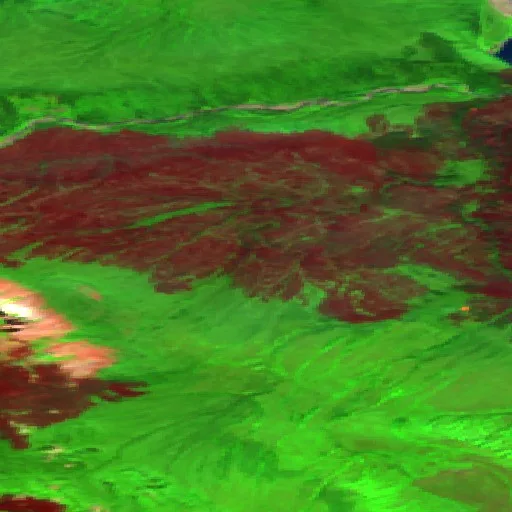 Wildfire near Sahtu Region — Sentinel-2 SWIR (fuego)