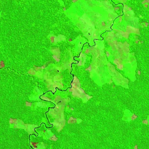Wildfire near Salão — Sentinel-2 SWIR (fuego)