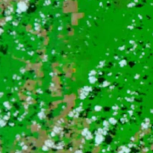 Incendio cerca de Salto da Alegria — NASA satellite