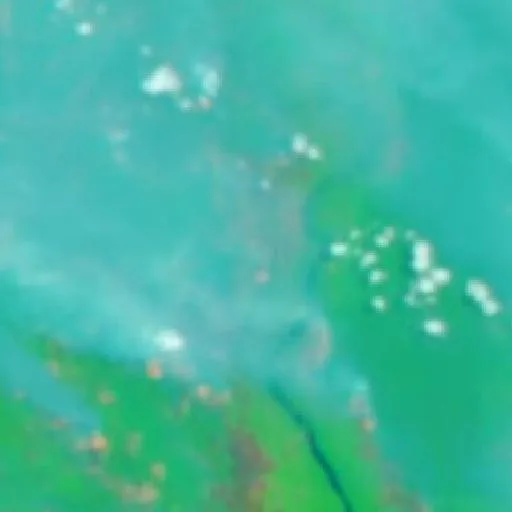 Wildfire near Sampit (Sep 20 · W) — NASA satellite
