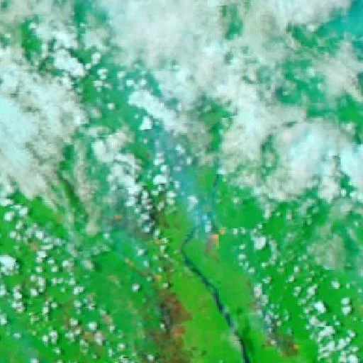 Wildfire near Sampit (Sep 21 · W) — NASA satellite