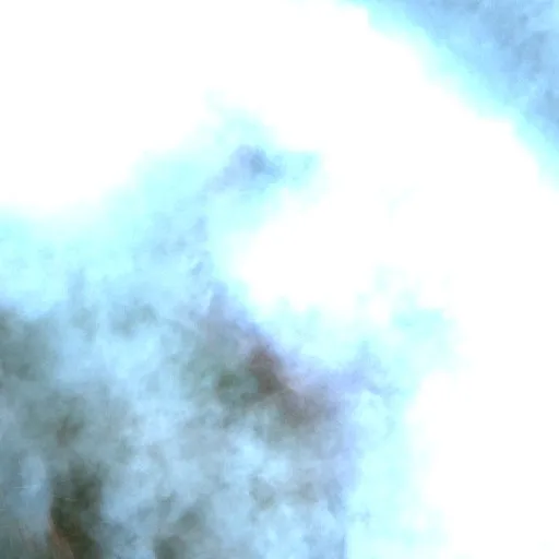 Incendio cerca de Sampit (14 oct) — Sentinel-2 true color