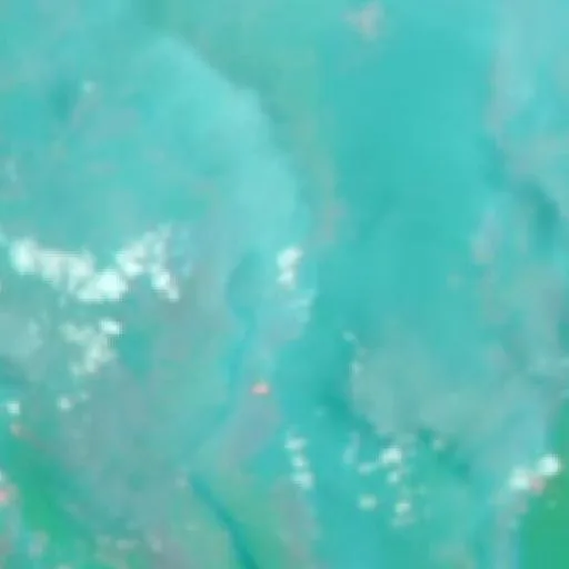 Wildfire near Sampit (Oct 7 · N) — NASA satellite