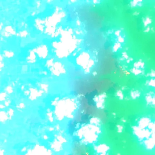 Wildfire near Sampit (Oct 21) — Sentinel-2 SWIR (fuego)