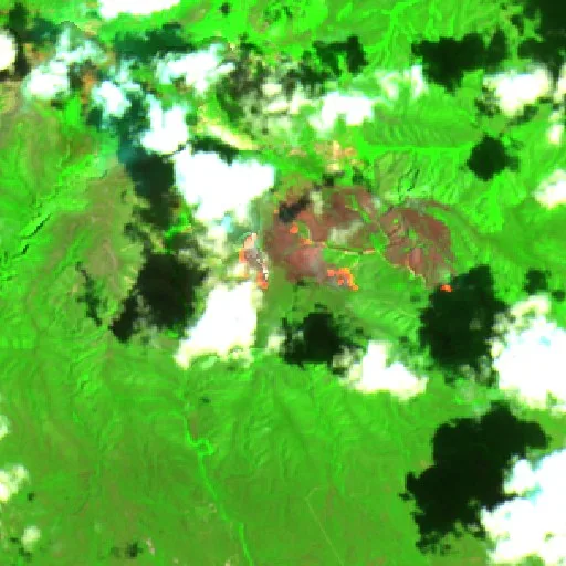 Wildfire near San Carlos — Sentinel-2 SWIR (fuego)