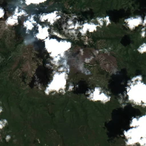 Wildfire near San Carlos — Sentinel-2 true color