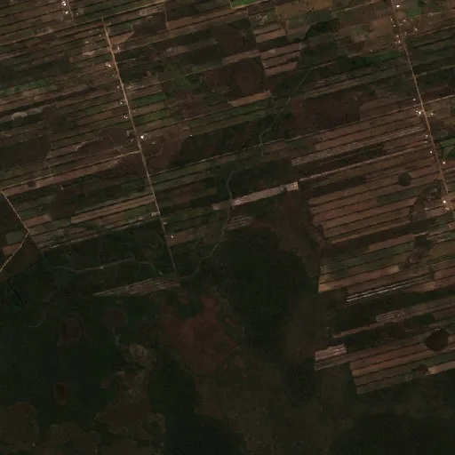 Wildfire near San Ignacio de Velasco (Jul 23 · SE) — Sentinel-2 true color