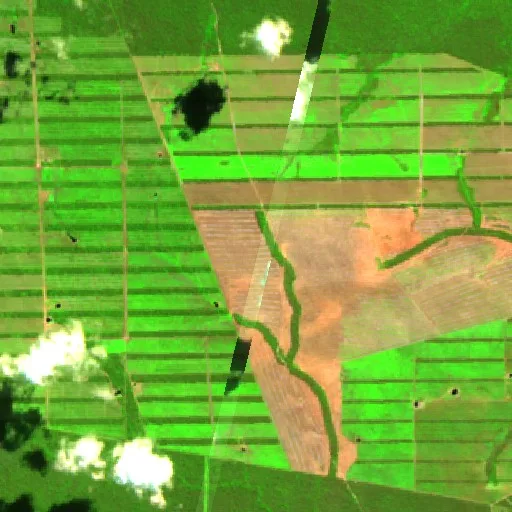 Wildfire near San Ignacio de Velasco (Jul 24 · SE) — Sentinel-2 SWIR (fuego)