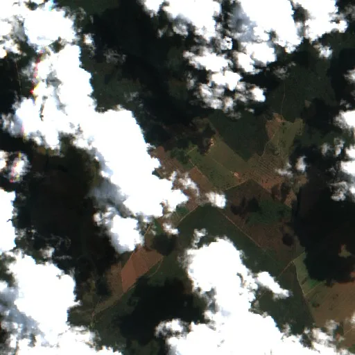 Wildfire near San Ignacio de Velasco (Jul 22) — Sentinel-2 true color