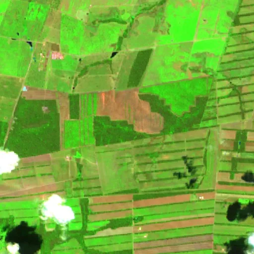 Wildfire near San Ignacio de Velasco (Jul 24 · NW) — Sentinel-2 SWIR (fuego)