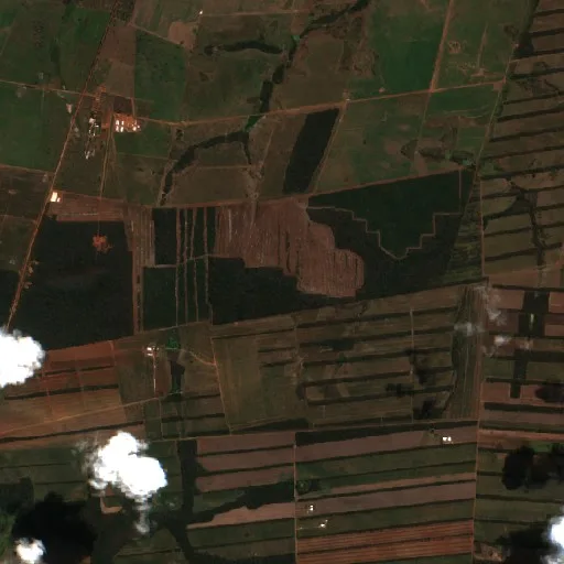 Wildfire near San Ignacio de Velasco (Jul 24 · NW) — Sentinel-2 true color