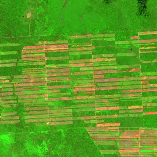 Incendio cerca de San Ignacio de Velasco (Jul 22) — Sentinel-2 SWIR (fuego)