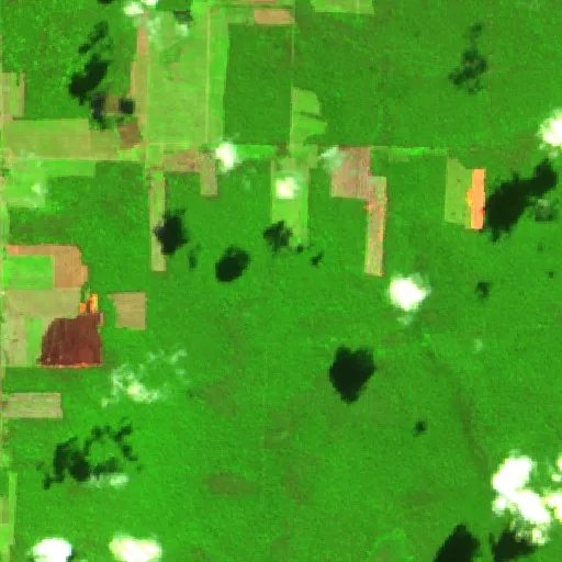 Wildfire near San José de Chiquitos (Jul 30) — Sentinel-2 SWIR (fuego)