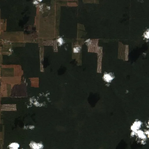 Wildfire near San José de Chiquitos (Jul 30) — Sentinel-2 true color