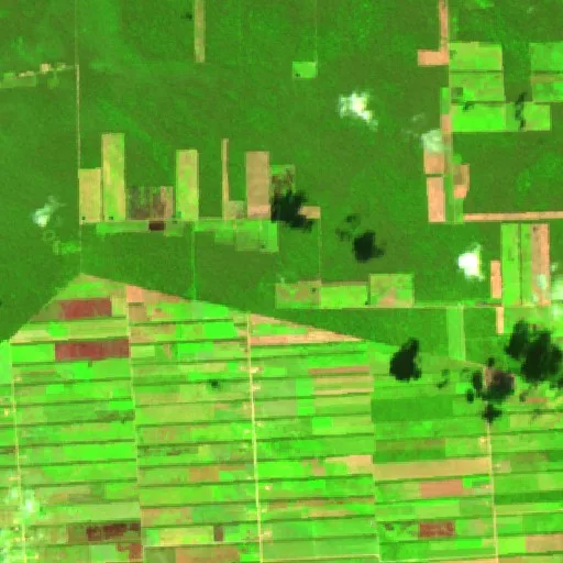 Incendio cerca de San José de Chiquitos (31 jul) — Sentinel-2 SWIR (fuego)