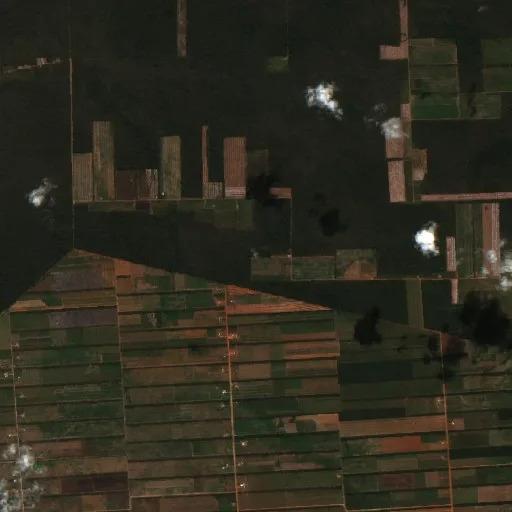 Incendio cerca de San José de Chiquitos (31 jul) — Sentinel-2 true color