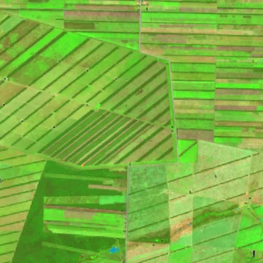 Incendio cerca de San José de Chiquitos (24 jul) — Sentinel-2 SWIR (fuego)
