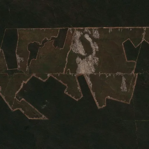 Incendio cerca de San José de Chiquitos (4 ago) — Sentinel-2 true color
