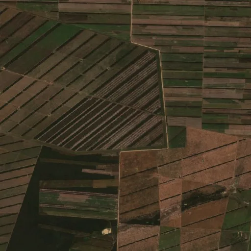 Wildfire near San José de Chiquitos (Jul 24 #2) — Sentinel-2 true color
