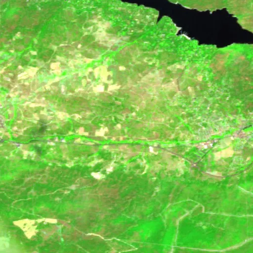 Wildfire near San Martín de Valdeiglesias (Jul 24) — Sentinel-2 SWIR (fuego)