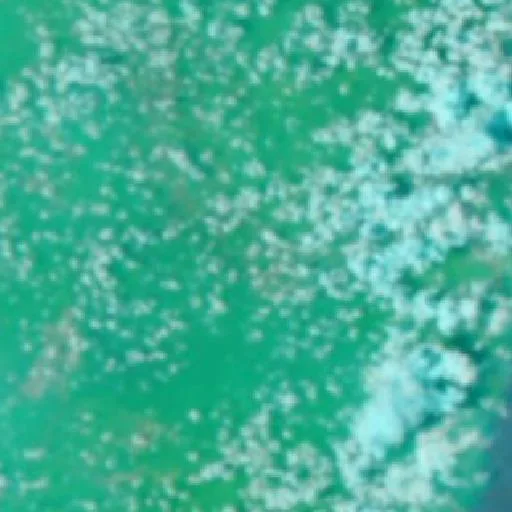Wildfire near Sangatta (Oct 22) — NASA satellite