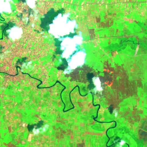 Wildfire near Sangatta — Sentinel-2 SWIR (fuego)