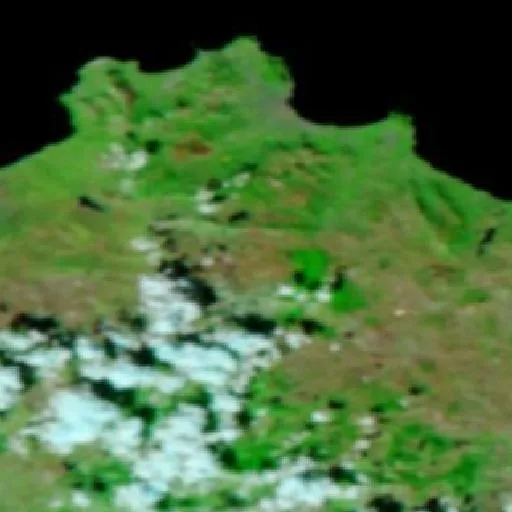 Wildfire near Santa Cristina Gela — NASA satellite