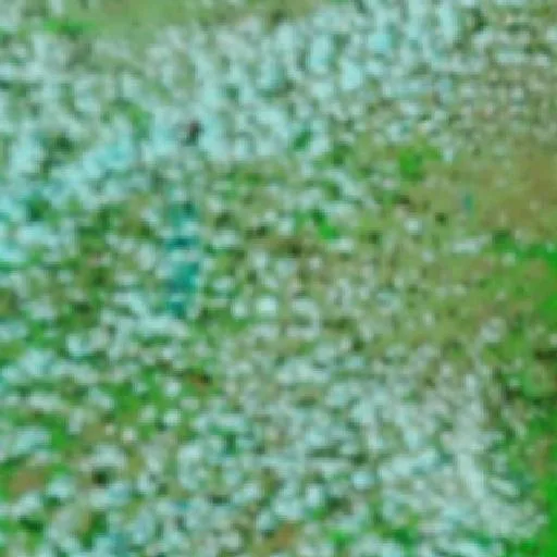 Wildfire near Santa Cruz do Arari (Oct 30) — NASA satellite