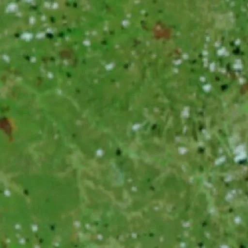 Wildfire near Santa Cruz do Piauí — NASA satellite