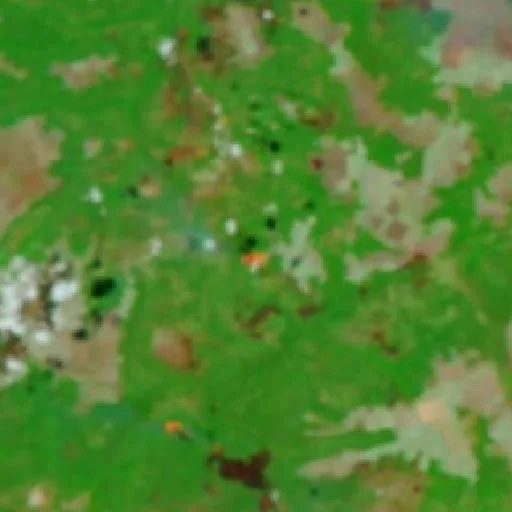 Wildfire near Santa Filomena (Oct 8) — NASA satellite