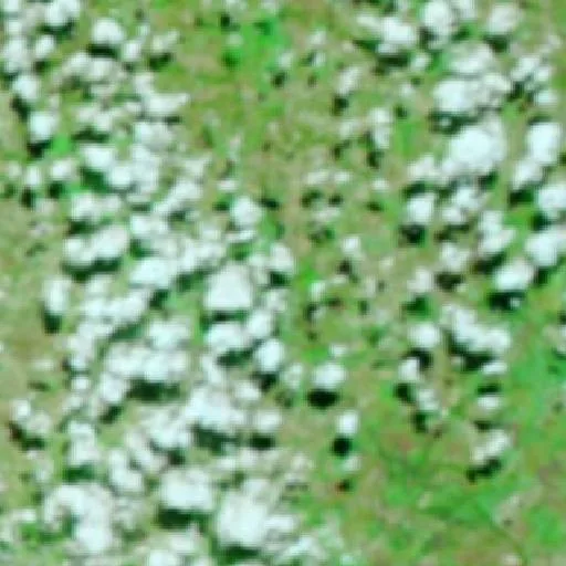 Incendio cerca de Santa Helena de Goiás — NASA satellite