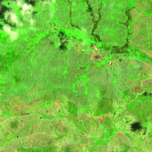 Incendio cerca de Santa Helena de Minas — Sentinel-2 SWIR (fuego)