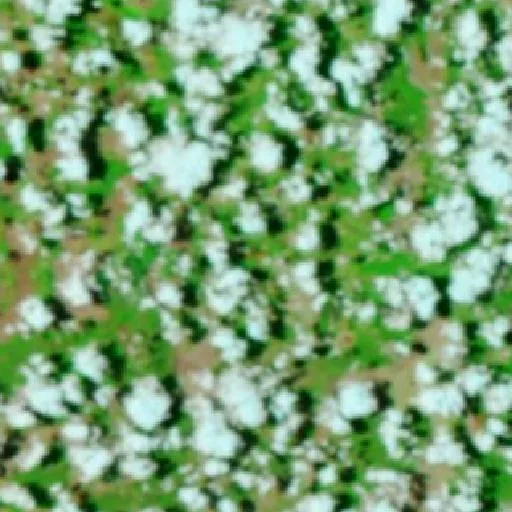 Wildfire near Santa Maria (Oct 7) — NASA satellite
