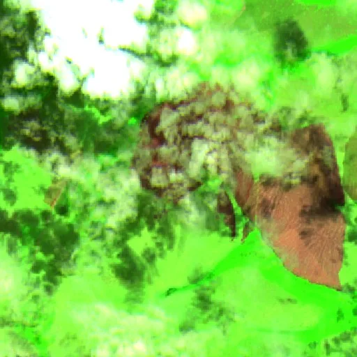 Incendio cerca de Santa Rosalía — Sentinel-2 SWIR (fuego)