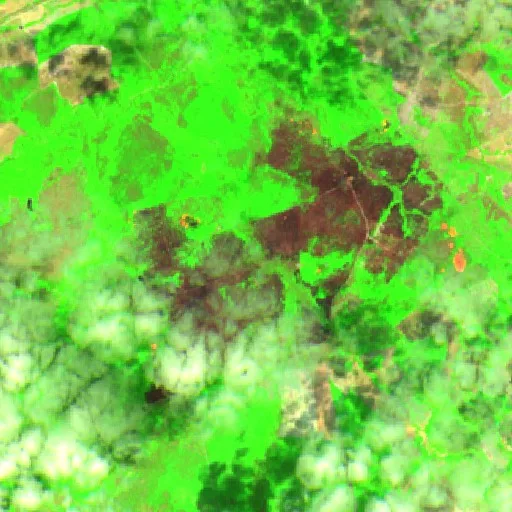 Wildfire near Santa Tereza de Goiás (Oct 7) — Sentinel-2 SWIR (fuego)