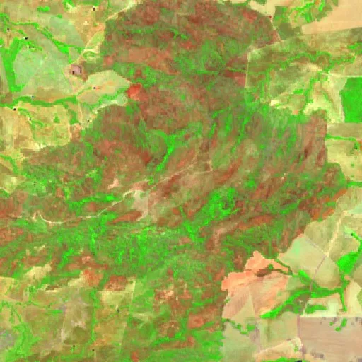Incendio cerca de Santa Tereza de Goiás — Sentinel-2 SWIR (fuego)