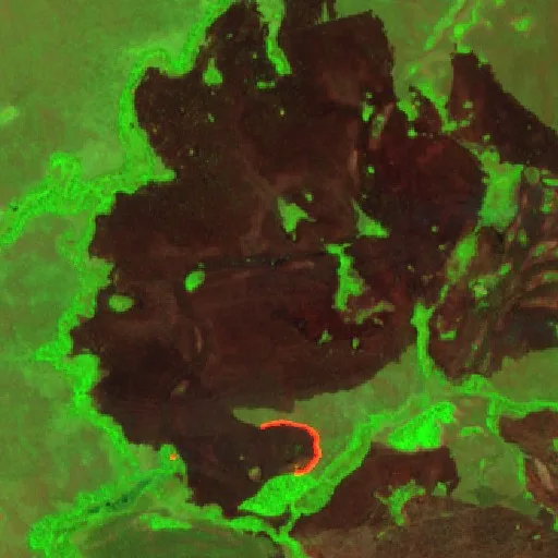 Wildfire near Santa Terezinha (Aug 27 · NW) — Sentinel-2 SWIR