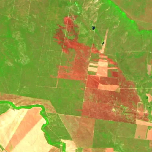 Wildfire near Santander Jiménez (Aug 29) — Sentinel-2 SWIR (fuego)