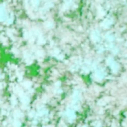 Wildfire near São Benedito do Rio Preto — NASA satellite