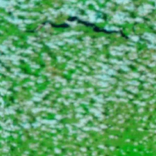 Wildfire near São Domingos do Araguaia — NASA satellite