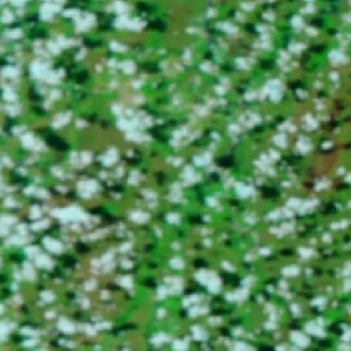 Wildfire near São Félix do Araguaia (Sep 22) — NASA satellite