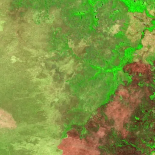 Wildfire near São Félix do Tocantins (Aug 31) — Sentinel-2 SWIR (fuego)