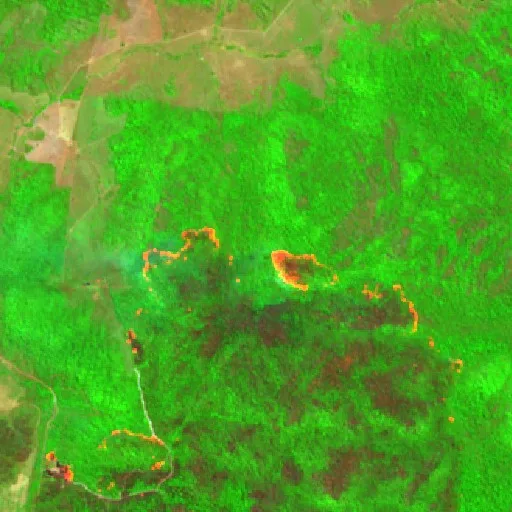Wildfire near São Félix do Xingu (Aug 28) — Sentinel-2 SWIR (fuego)