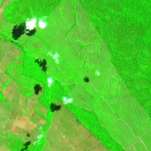 Wildfire near São Francisco (Aug 24 · SE) — Sentinel-2 SWIR (fuego)