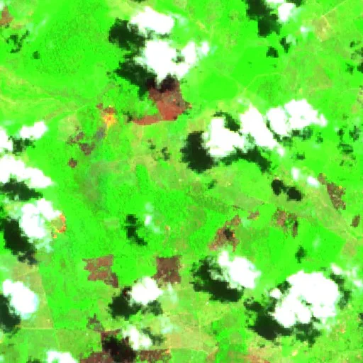 Wildfire near São Francisco (Sep 13) — Sentinel-2 SWIR (fuego)