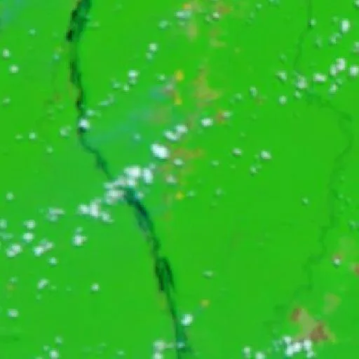 Wildfire near São Francisco (Sep 22) — NASA satellite