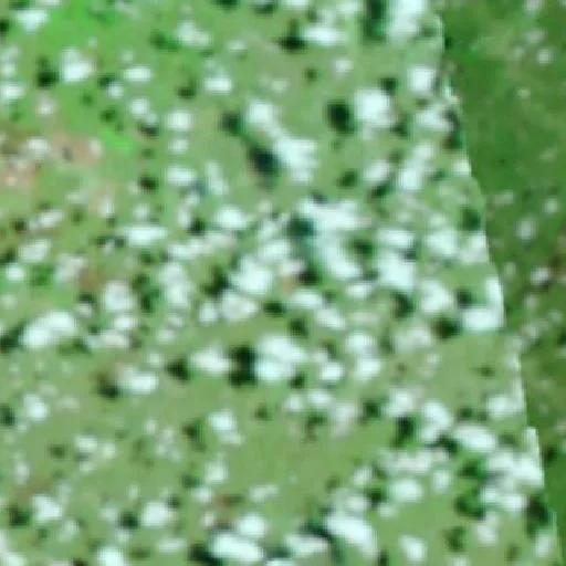 Incendio cerca de São Francisco do Piauí — NASA satellite