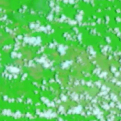 Wildfire near São João do Carú — NASA satellite