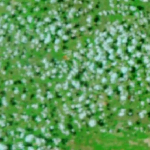 Incendio cerca de São Pedro dos Crentes — NASA satellite